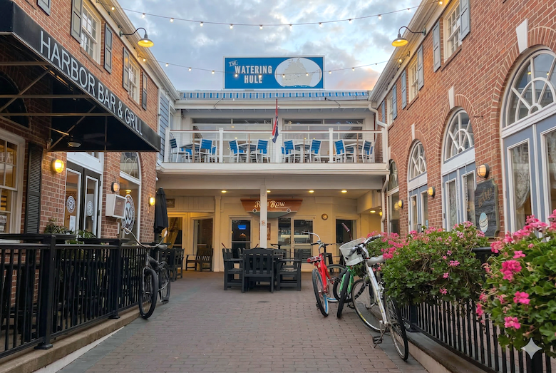 Things To Do The Watering Hull